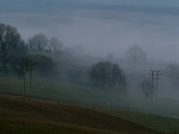 Misty wires.jpg